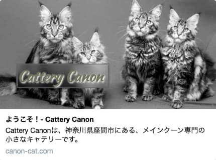 Cattery Canon様Webサイト