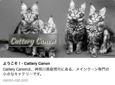 canon-catへのリンク